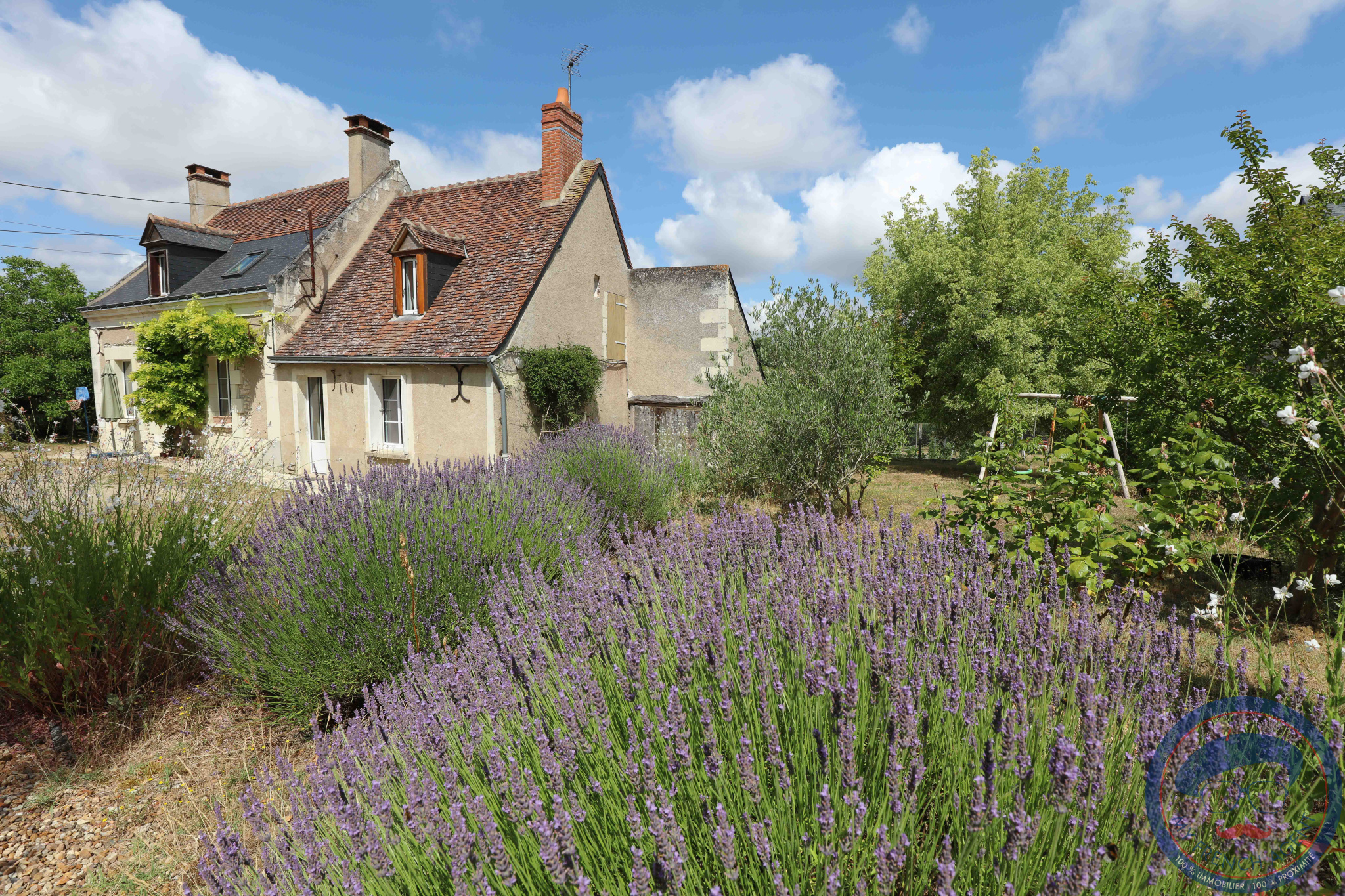 Photo bien immobilier